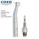 COXO High-Speed Dental Handpiece CX207-GK-TP, LED Fiber Optic, CE Certified