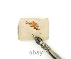 Fossil Preparation tools brand new pneumatic air pen, paleo tools